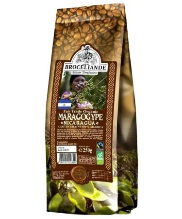 Broceliande Coffee ground maragogype nicaragua 250 g