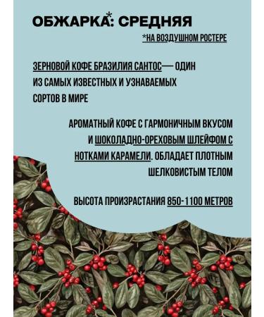 EL DORADO COFFEE ROASTERS Coffee in Brazil Santos Fresh fry 1 kg - Buy Online on GoSupps.com