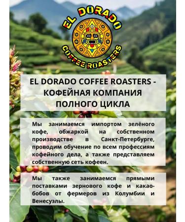 EL DORADO COFFEE ROASTERS Coffee in Brazil Santos Fresh fry 1 kg - Buy Online on GoSupps.com
