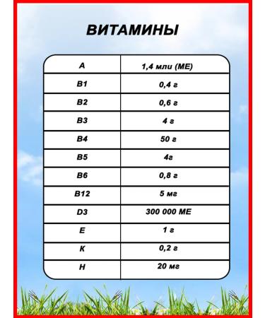 Ryabushka Premix for chickens 2 pieces of 500 grams - Buy Online on GoSupps.com