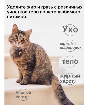 Hypoallergenic shampoo for cat removal - Buy Online on GoSupps.com