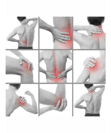 ACTIVITY Anesthetic balm liquid needles with bee - Buy Online on GoSupps.com