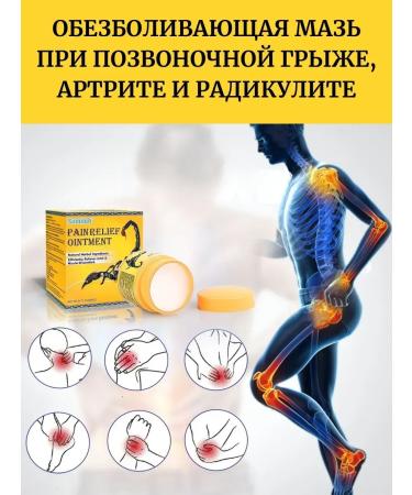 olgaintensive Skorpion ointment with pain with vertebral hernia - Buy Online on GoSupps.com