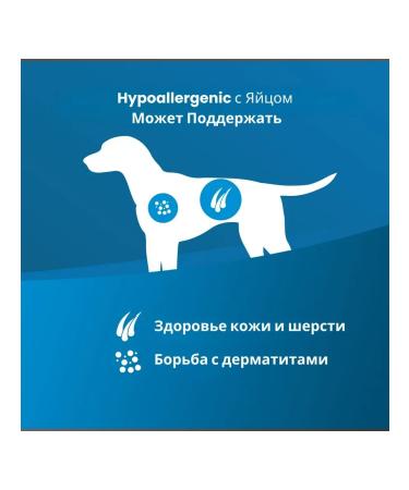 Farmina Vet Life Dog Hypoallergenic Egg rice d from food allergies 2 kg - Buy Online on GoSupps.com