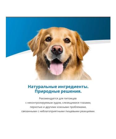 Farmina Vet Life Dog Hypoallergenic Egg rice d from food allergies 2 kg - Buy Online on GoSupps.com