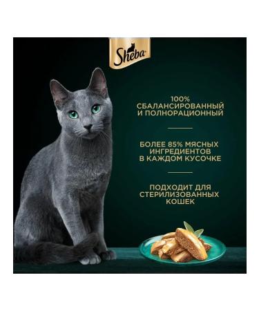 Sheba Wet food paste in jelly turkey 75 g 28pcs - Buy Online on GoSupps.com