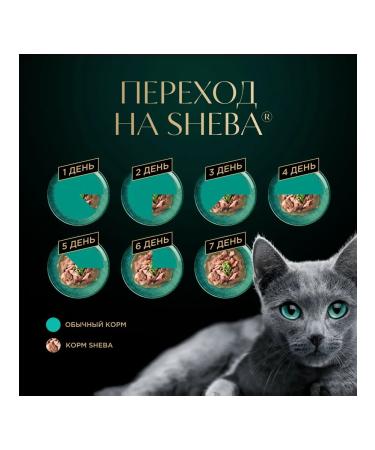 Sheba Wet food paste in jelly turkey 75 g 28pcs - Buy Online on GoSupps.com