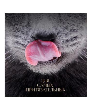 Sheba Wet food paste in jelly turkey 75 g 28pcs - Buy Online on GoSupps.com