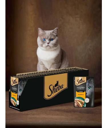 Sheba Wet food paste in jelly turkey 75 g 28pcs - Buy Online on GoSupps.com