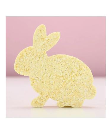 Pure happiness Book for the bath "Rabbit" citrus aroma - Buy Online on GoSupps.com