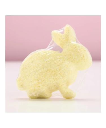 Pure happiness Book for the bath "Rabbit" citrus aroma - Buy Online on GoSupps.com