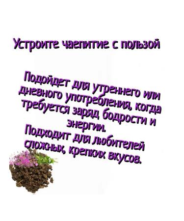 Goldenrod Ivan the Tea and the natural energy of Sagan-Dail - Buy Online on GoSupps.com