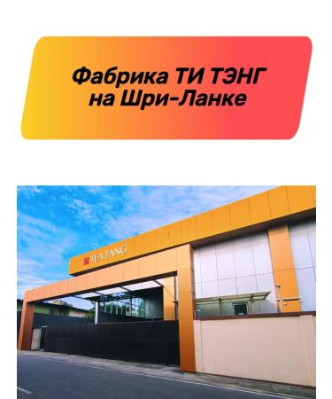 Tea Tang tea black tieng forest magic - Buy Online on GoSupps.com