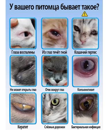 Medical eye drops for cats and dogs 20 ml - Buy Online on GoSupps.com