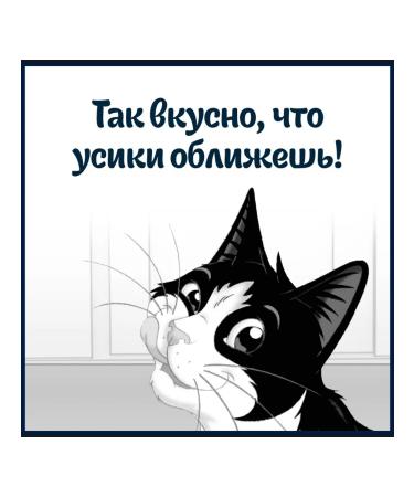 FELIX Wet food for cats with cod in sauce 75g x 26pcs - Buy Online on GoSupps.com