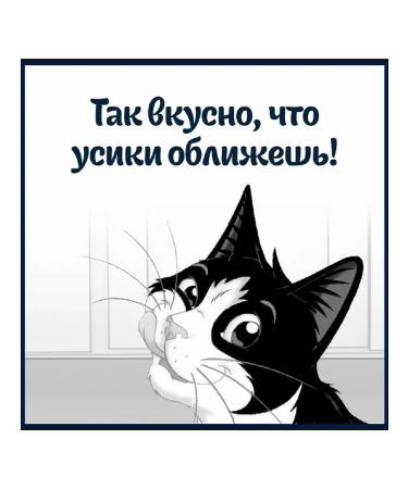 FELIX Wet food for cats with salmon in jelly 75g x 26pcs - Buy Online on GoSupps.com