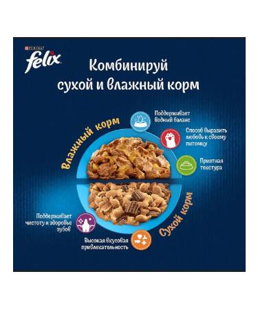 FELIX Wet food for cats with salmon in jelly 75g x 26pcs - Buy Online on GoSupps.com