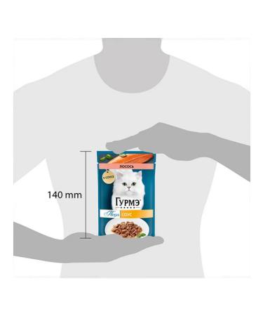 Gourmet Wet food delicate fillet for cats with salmon 75g x 26pcs - Buy Online on GoSupps.com