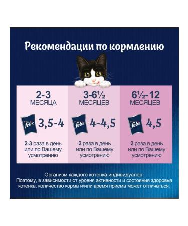 FELIX Wet food for kittens with chicken in jelly 75g x 26pcs - Buy Online on GoSupps.com