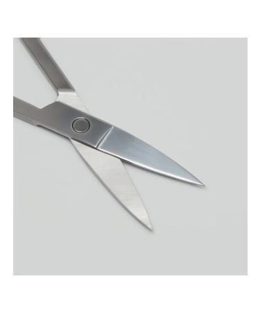 Manicure straight scissors wide 9 cm 2 pcs - Buy Online on GoSupps.com