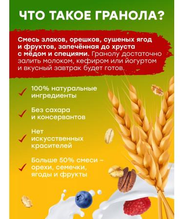 GRANOLALAB Granola "Mint Chocolate + Collagen" without sugar 260g - Buy Online on GoSupps.com