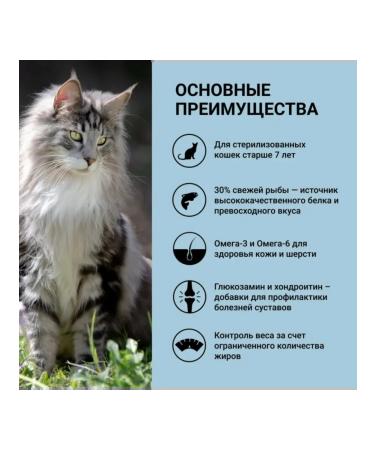 Ownat dry food for elderly cats Fish 3 kg - Buy Online on GoSupps.com