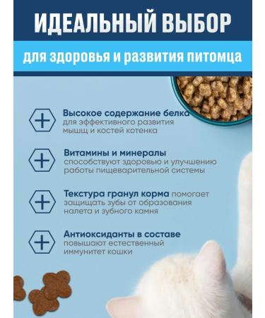 Sanabelle Dry food for kittens with a bird 2 kg - Buy Online on GoSupps.com