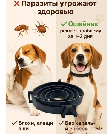 Asya Mir Flea and dog ticks collar - Buy Online on GoSupps.com