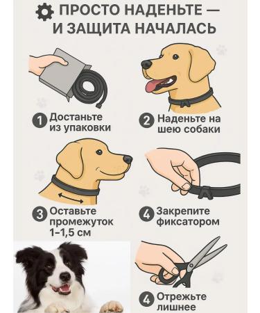 Asya Mir Flea and dog ticks collar - Buy Online on GoSupps.com