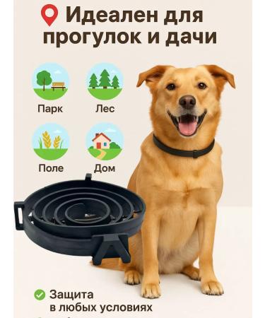 Asya Mir Flea and dog ticks collar - Buy Online on GoSupps.com