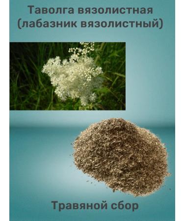 VAVOLGA VISISOLIST (Vyazolid Labaznik)