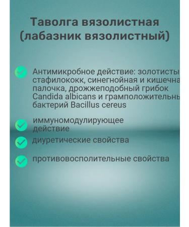 VAVOLGA VISISOLIST (Vyazolid Labaznik) - Buy Online on GoSupps.com