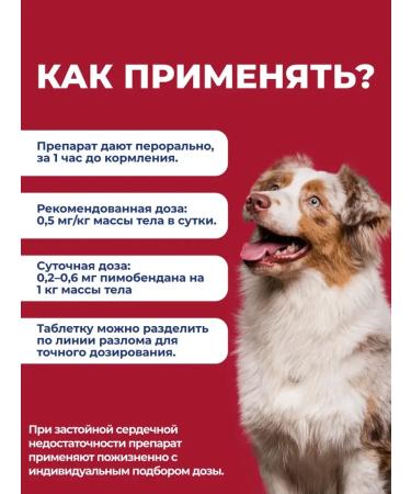 VIC Avekardita tablets 5 mg for medium dogs - Buy Online on GoSupps.com