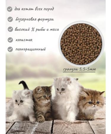 SAVITA Grain Free Kitten Salmon & White Fish 5kg - Buy Online on GoSupps.com