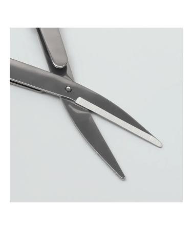 Compact manicure scissors for neat nails - Buy Online on GoSupps.com