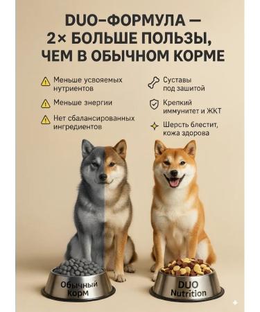 Dry food for medium and large breeds of dogs of lambs 3 kg - Buy Online on GoSupps.com