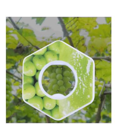 Flavored water rings Fruit creative green vi