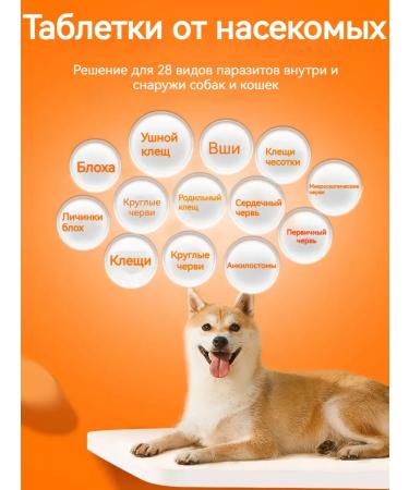 xiang dang dang Cat and dogs - Buy Online on GoSupps.com