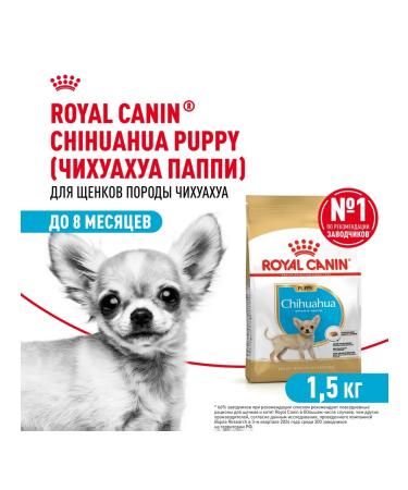 ROYAL CANIN Chihuahua Puppy food for chihuahua breed puppies 1.5 kg - Buy Online on GoSupps.com