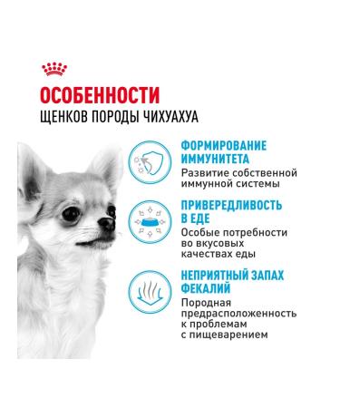 ROYAL CANIN Chihuahua Puppy food for chihuahua breed puppies 1.5 kg - Buy Online on GoSupps.com