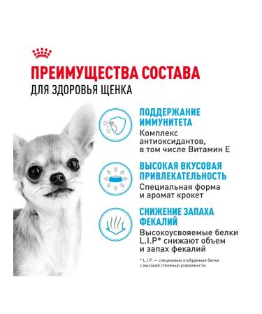 ROYAL CANIN Chihuahua Puppy food for chihuahua breed puppies 1.5 kg - Buy Online on GoSupps.com