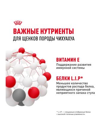 ROYAL CANIN Chihuahua Puppy food for chihuahua breed puppies 1.5 kg - Buy Online on GoSupps.com