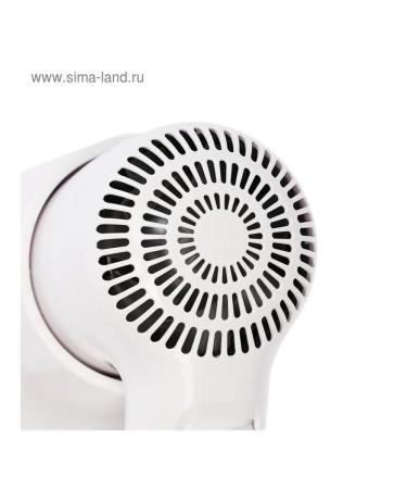 Wall halter for styling with speed adjustment - Buy Online on GoSupps.com