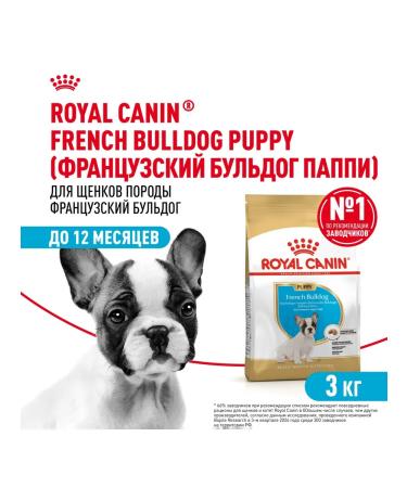 Royal Canin French Bulldog Puppy Food for French Bulldog Puppies 3 kg - Buy Online on GoSupps.com