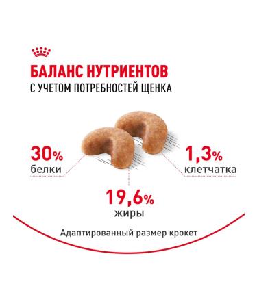 Royal Canin French Bulldog Puppy Food for French Bulldog Puppies 3 kg - Buy Online on GoSupps.com