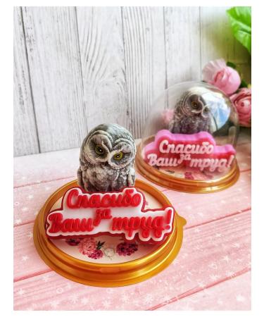 Sweet Soap Wise owl in the dome souvenir soap gift to the teacher