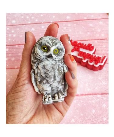 Sweet Soap Wise owl in the dome souvenir soap gift to the teacher - Buy Online on GoSupps.com