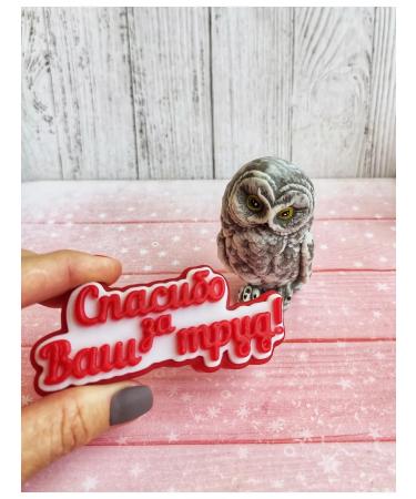 Sweet Soap Wise owl in the dome souvenir soap gift to the teacher - Buy Online on GoSupps.com