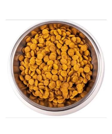 MONGE Cat Daily Line Sterilized d steril. cats chicken 10kg - Buy Online on GoSupps.com