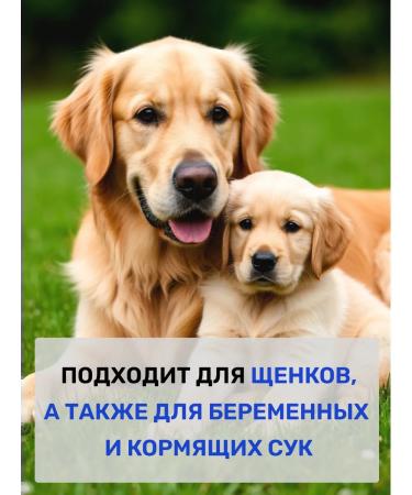 Farmina Dry food for puppies of medium and large breeds lamb 2.5 kg - Buy Online on GoSupps.com